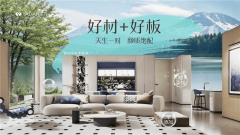 成2025全屋定制影响力十大品牌